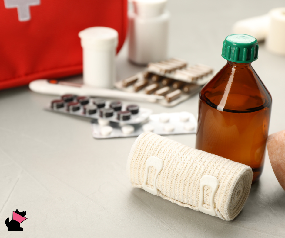 Pierwsza pomoc apteczka dla zwierząt