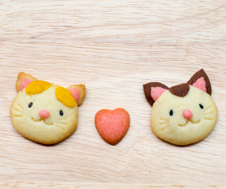 7 Przepisów na domowe ciastka dla kotów