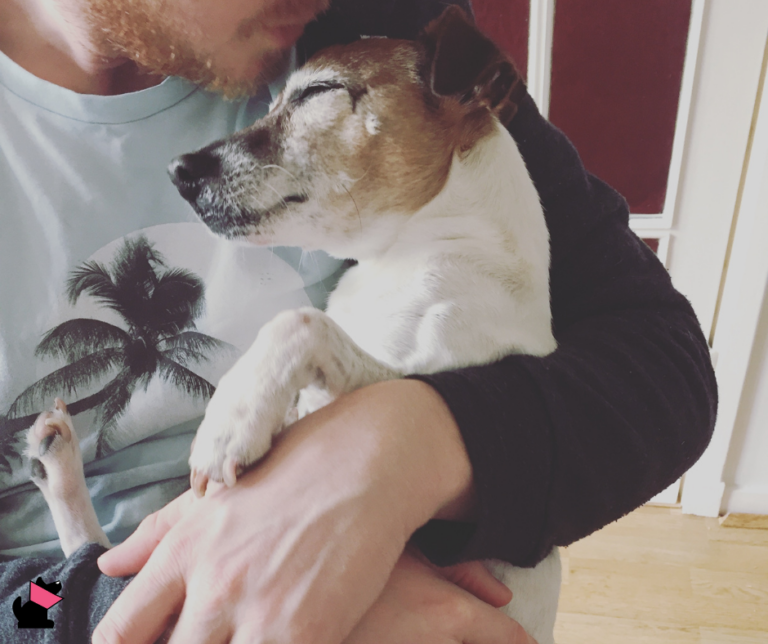 Czy korporacje weterynaryjne stawiają zysk ponad dobro zwierząt?