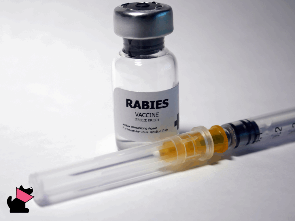 Rabisin 4 serie szczepionki przeciw wściekliźnie wycofane z rynku