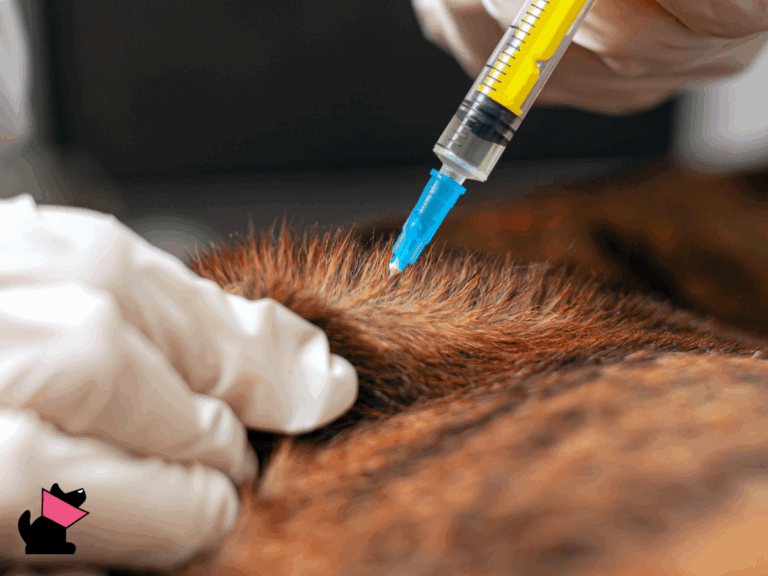 Rabisin 4 serie szczepionki przeciw wściekliźnie wycofane z rynku