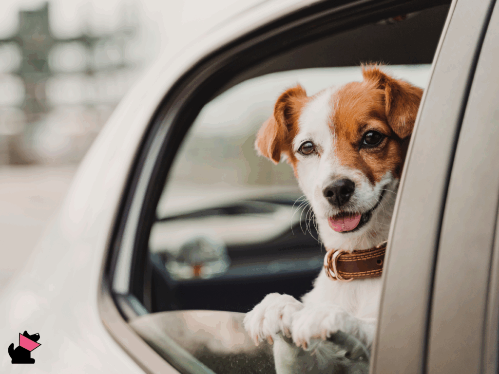6 domowych sposobów na chorobę lokomocyjną