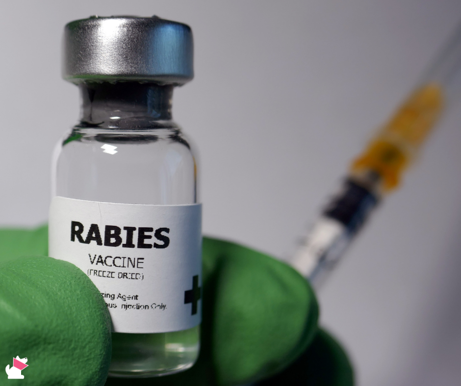 petycja szczepienie wścieklizna