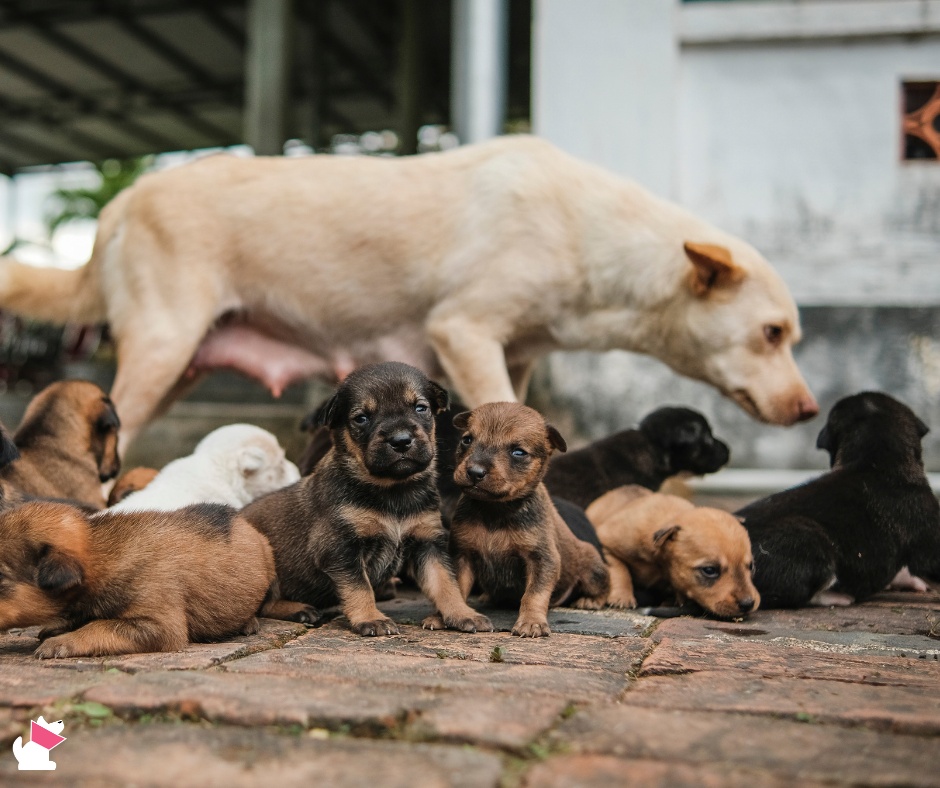 zapobieganie bezdomności